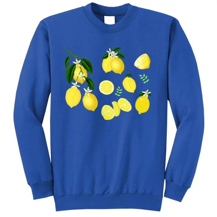 Cute Lemon Botanical Gardening Summertime Lemon Lover Great Gift Sweatshirt