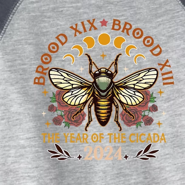 Cicada Lover Brood Xix Brood Xiii Year Of The Cicada 2024 Toddler Fine Jersey T-Shirt