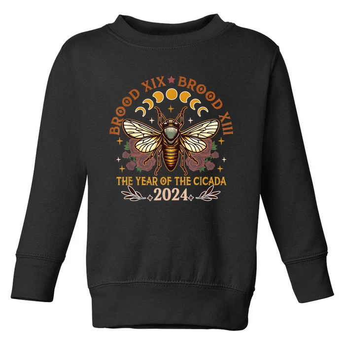 Cicada Lover Brood Xix Brood Xiii Year Of The Cicada 2024 Toddler Sweatshirt