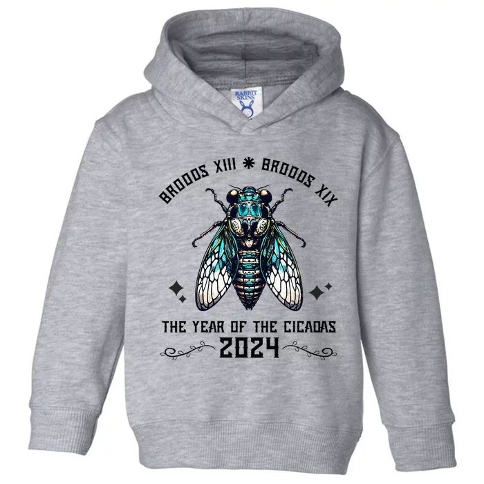 Cicada Lover Brood Xix Brood Xiii Year Of The Cicada 2024 Toddler Hoodie