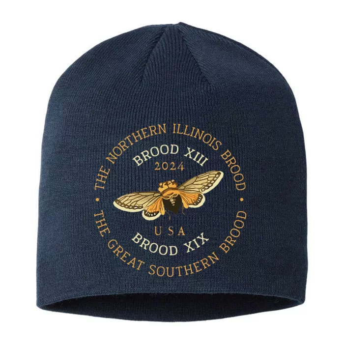 Cicada Lover Brood Xix & Xiii Emergence Summer 2024 8 1/2in Sustainable Knit Beanie