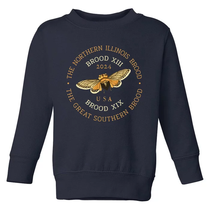 Cicada Lover Brood Xix & Xiii Emergence Summer 2024 Toddler Sweatshirt