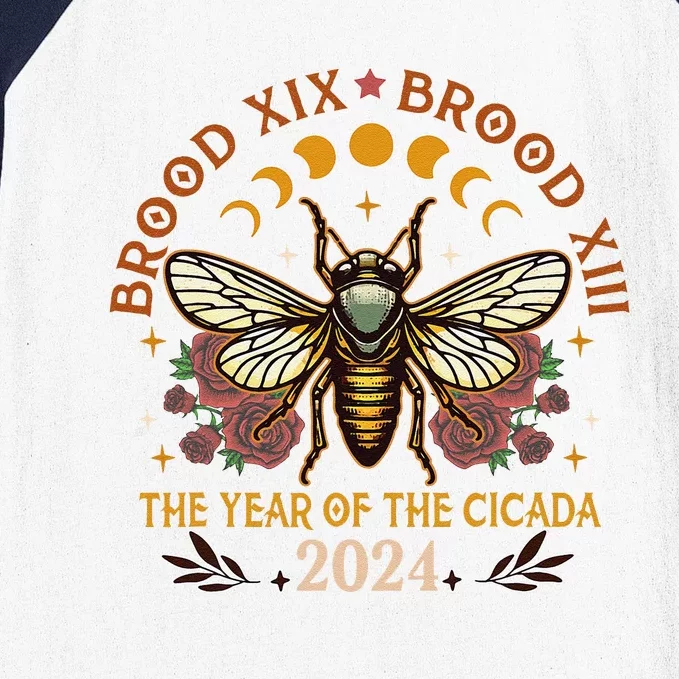 Cicada Lover Brood Xix Brood Xiii Year Of The Cicada 2024 Baseball Sleeve Shirt