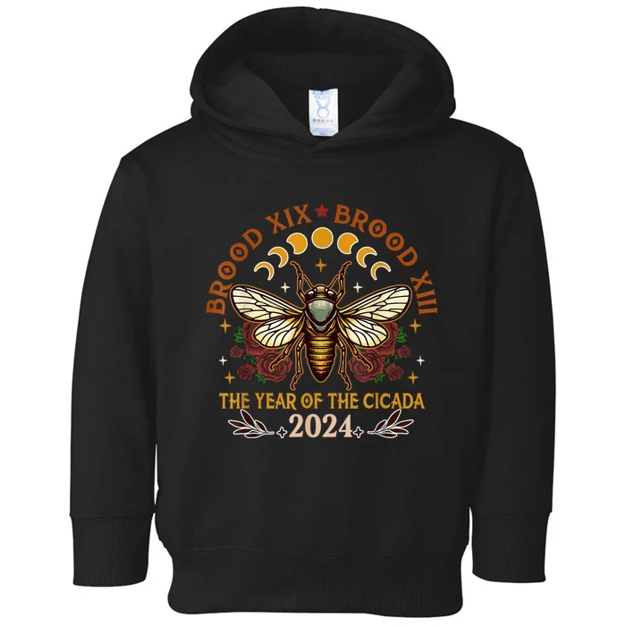 Cicada Lover Brood Xix Brood Xiii Year Of The Cicada 2024 Toddler Hoodie