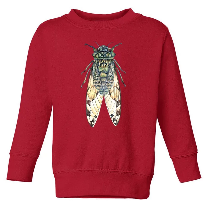 Cicada Lover Cicada Fest 2024 Funny Bug Lover Entomologist Summertime Toddler Sweatshirt