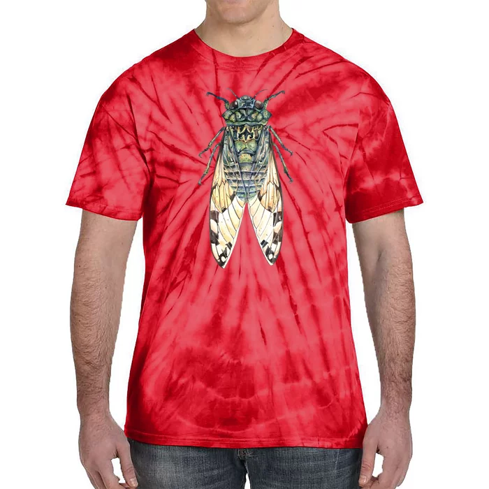 Cicada Lover Cicada Fest 2024 Funny Bug Lover Entomologist Summertime Tie-Dye T-Shirt