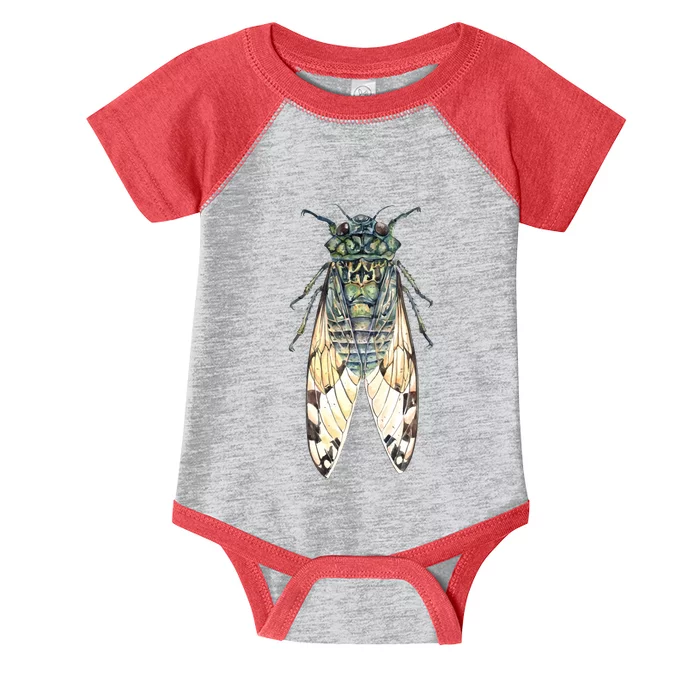 Cicada Lover Cicada Fest 2024 Funny Bug Lover Entomologist Summertime Infant Baby Jersey Bodysuit