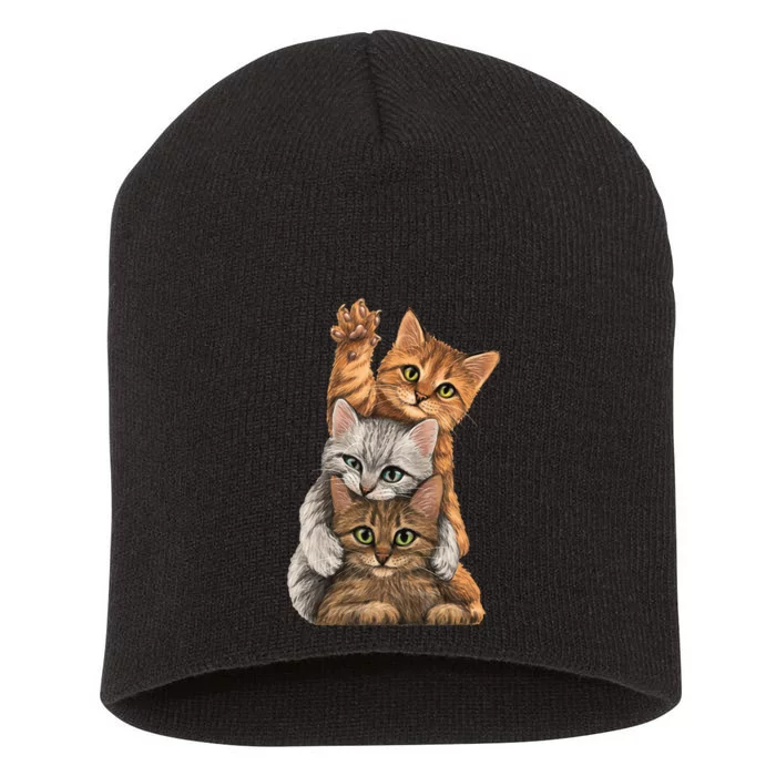 Cute Little Cats Playing Build Wall For Lovers Kitty Kittens Short Acrylic Beanie