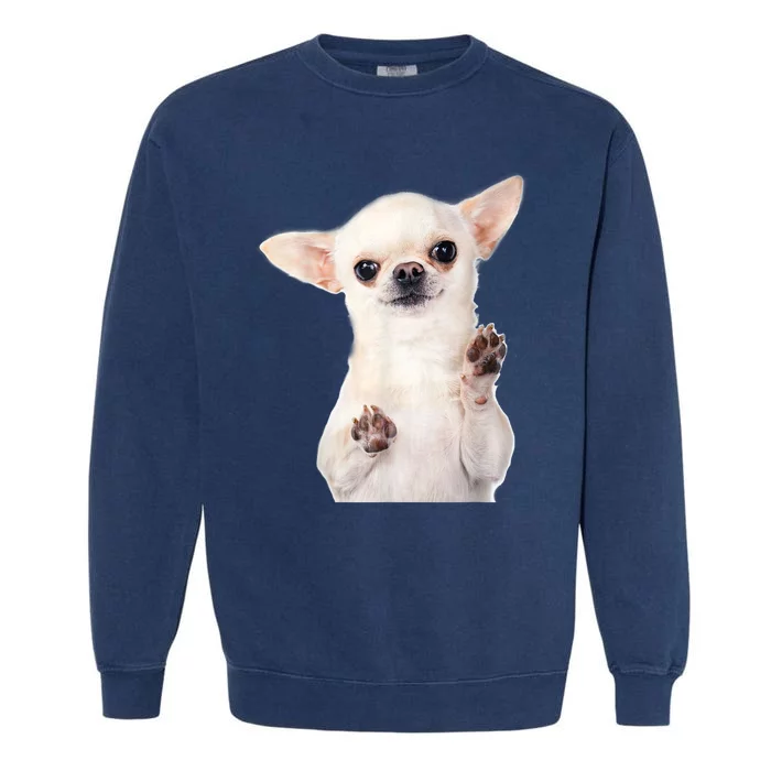 Cute Little Chihuahua Puppy Dog Face For Pet Owners Garment-Dyed Sweatshirt