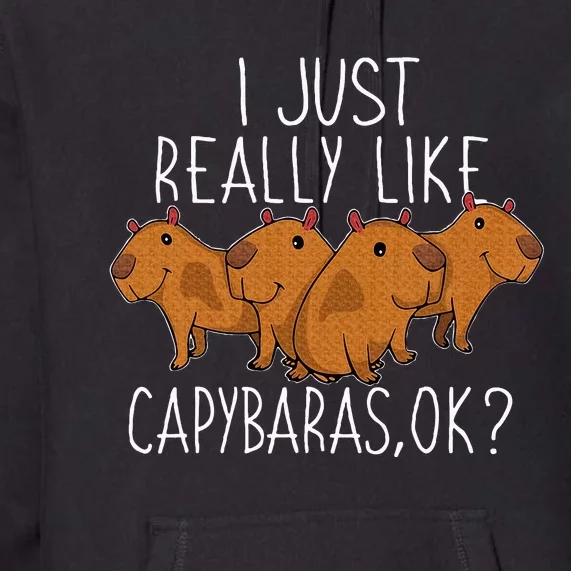 Capybara Lover Premium Hoodie