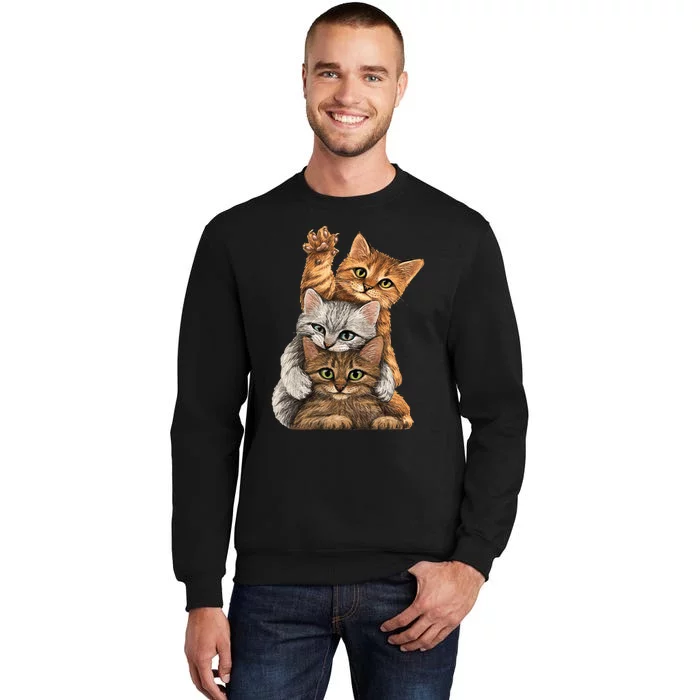 cute little Cats playing build Wall for lovers kitty kittens Sweatshirt