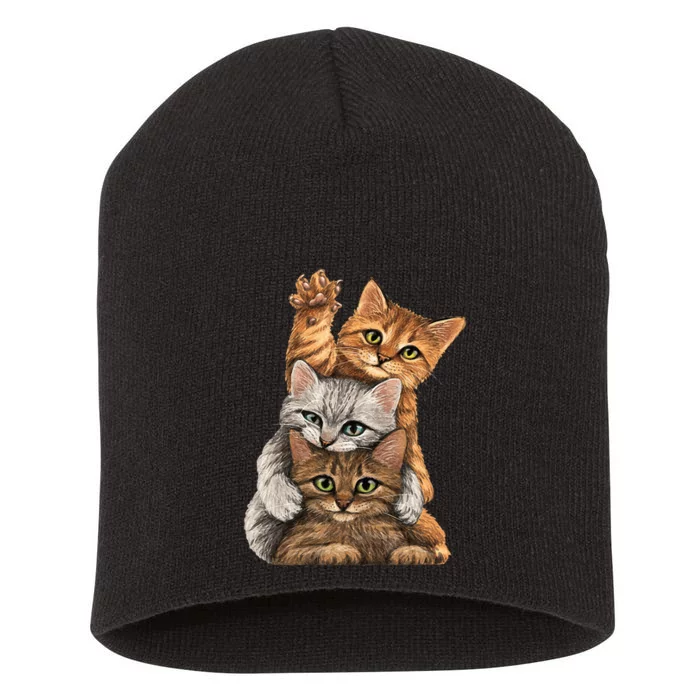 cute little Cats playing build Wall for lovers kitty kittens Short Acrylic Beanie