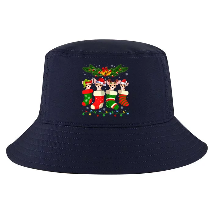 Christmas Light Chihuahua Dog In Christmas Sock Gift Cool Comfort Performance Bucket Hat