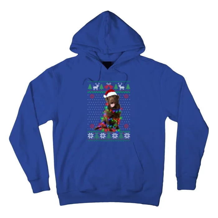 Chocolate Lab Dog Ugly Sweater Christmas Puppy Dog Lover Gift Tall Hoodie