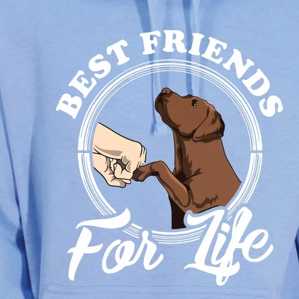 Chocolate Labrador Design Funny Chocolate Labrador Lovers Unisex Surf Hoodie