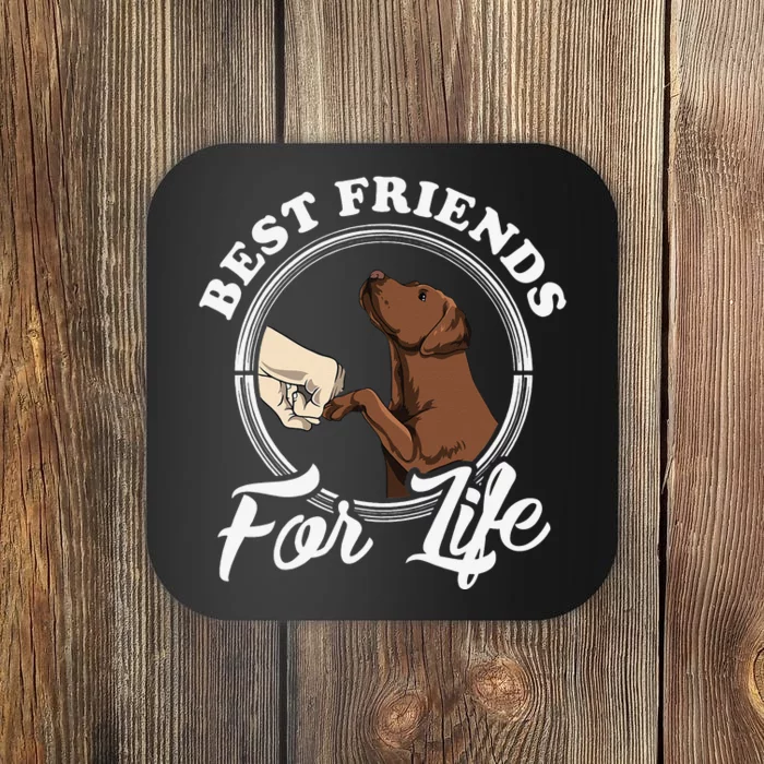 Chocolate Labrador Design Funny Chocolate Labrador Lovers Coaster