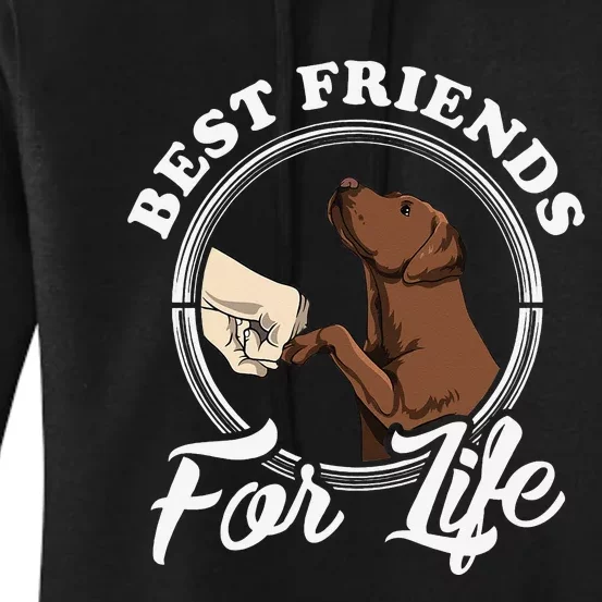 Chocolate Labrador Design Funny Chocolate Labrador Lovers Women's Pullover Hoodie