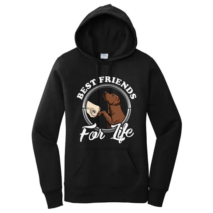 Chocolate Labrador Design Funny Chocolate Labrador Lovers Women's Pullover Hoodie