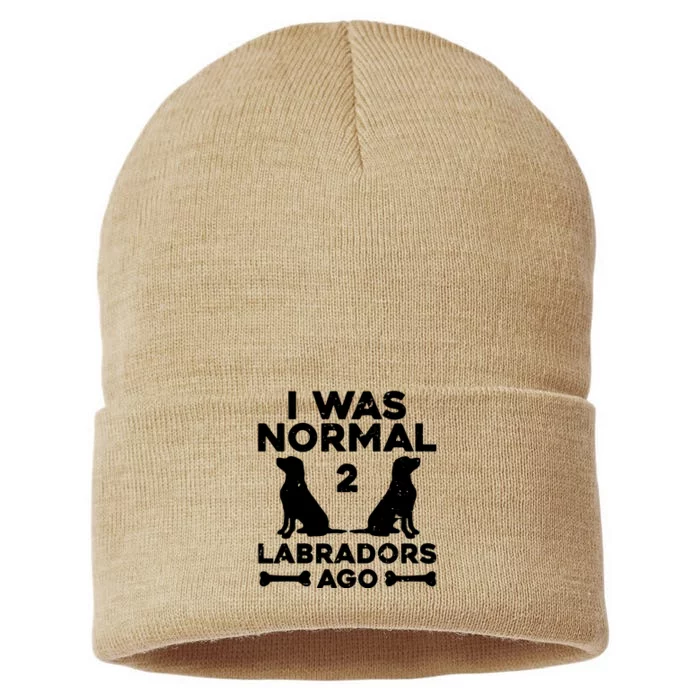 Cute Labrador Design For Men Women Labrador Retriever Lovers Sustainable Knit Beanie