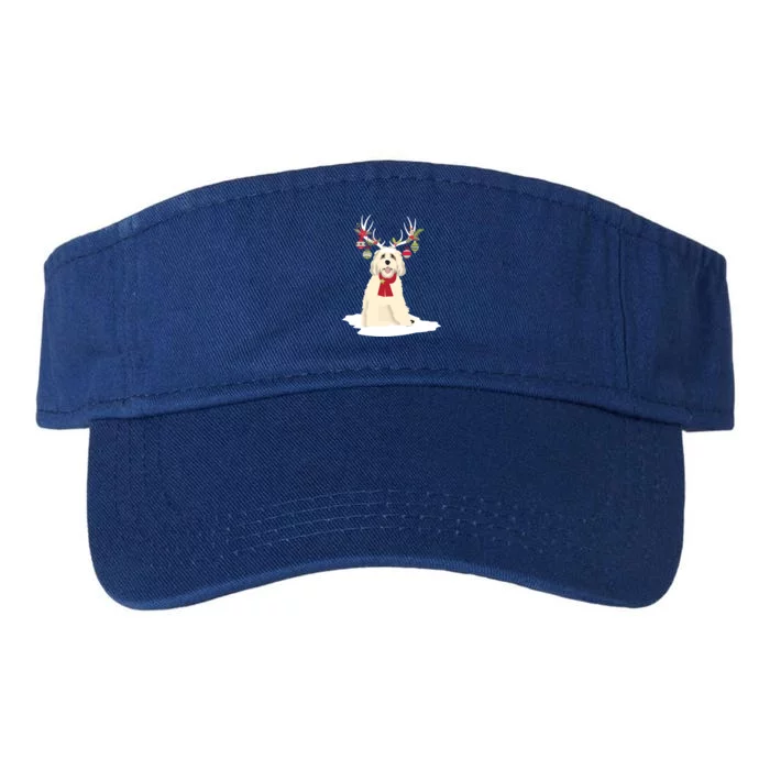 Cute Labradoodle Doodle Christmas Reindeer Graphic Holiday Gift Valucap Bio-Washed Visor