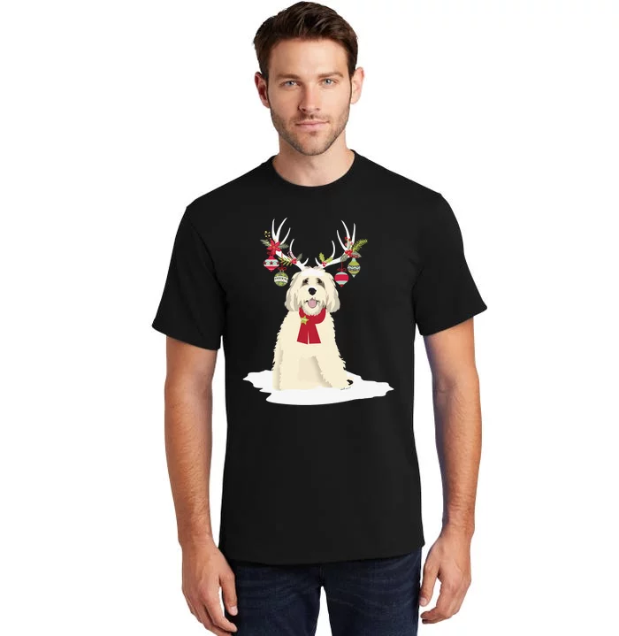 Cute Labradoodle Doodle Christmas Reindeer Graphic Holiday Tall T-Shirt