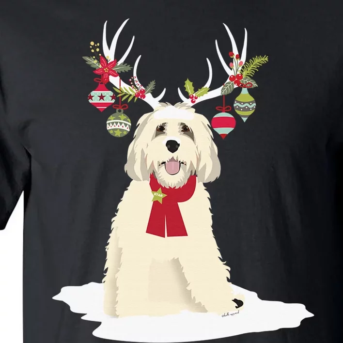 Cute Labradoodle Doodle Christmas Reindeer Graphic Holiday Tall T-Shirt