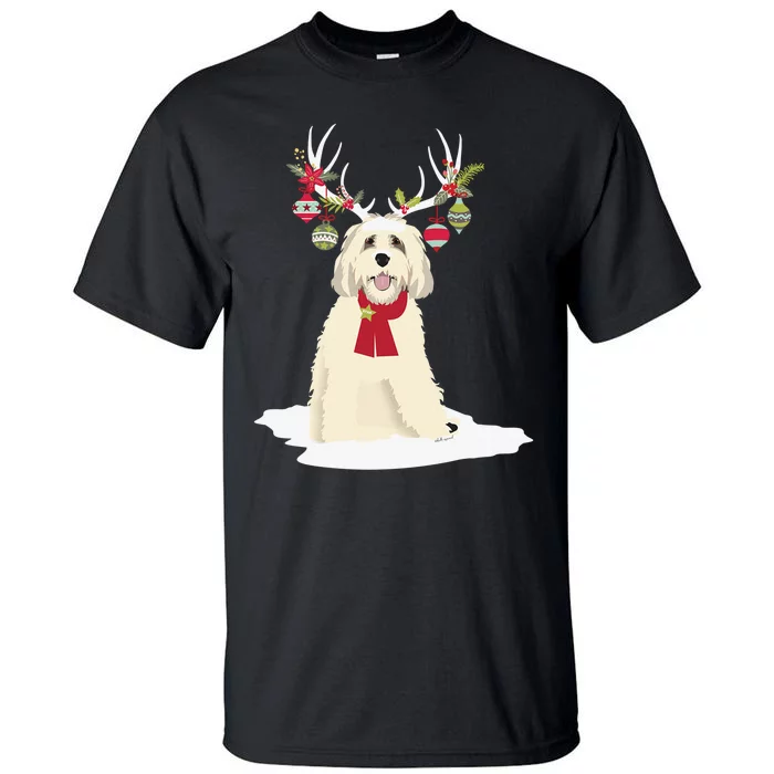 Cute Labradoodle Doodle Christmas Reindeer Graphic Holiday Tall T-Shirt