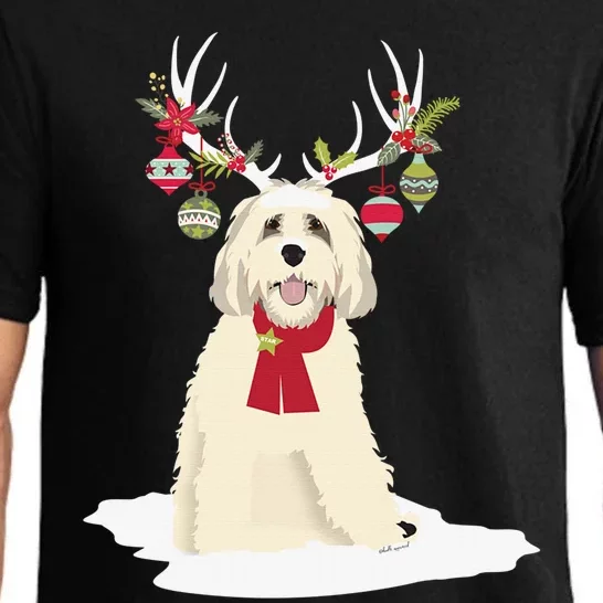 Cute Labradoodle Doodle Christmas Reindeer Graphic Holiday Pajama Set