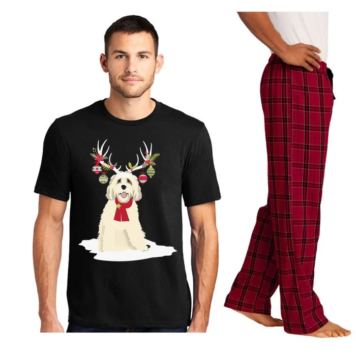 Cute Labradoodle Doodle Christmas Reindeer Graphic Holiday Pajama Set