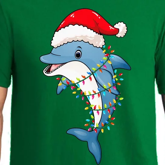 Christmas Lights Dolphin Wearing Xmas Hat Dolphin Lover Pajama Set