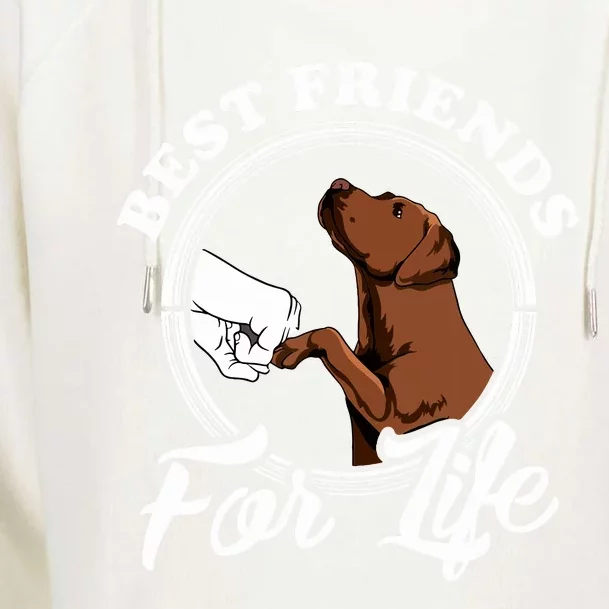 Chocolate Labrador Design Funny Chocolate Labrador Lovers Womens Funnel Neck Pullover Hood