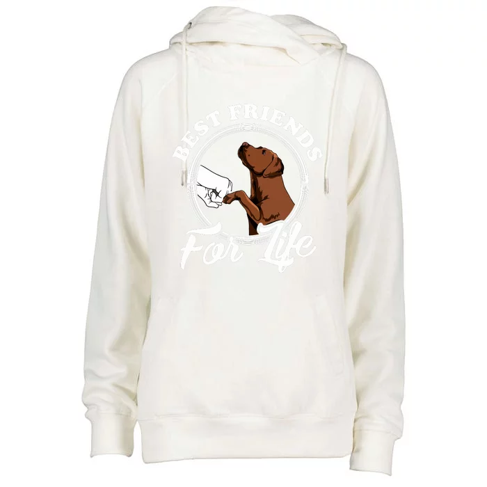 Chocolate Labrador Design Funny Chocolate Labrador Lovers Womens Funnel Neck Pullover Hood