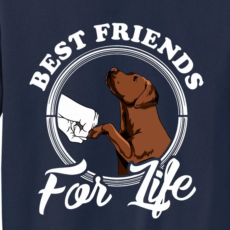 Chocolate Labrador Design Funny Chocolate Labrador Lovers Tall Sweatshirt