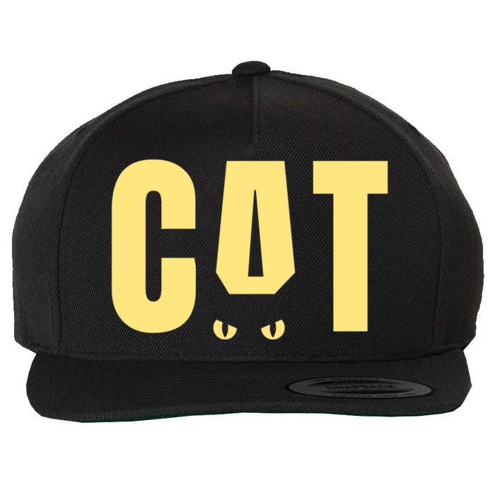 Cat Lover Ears Cute Gift Wool Snapback Cap