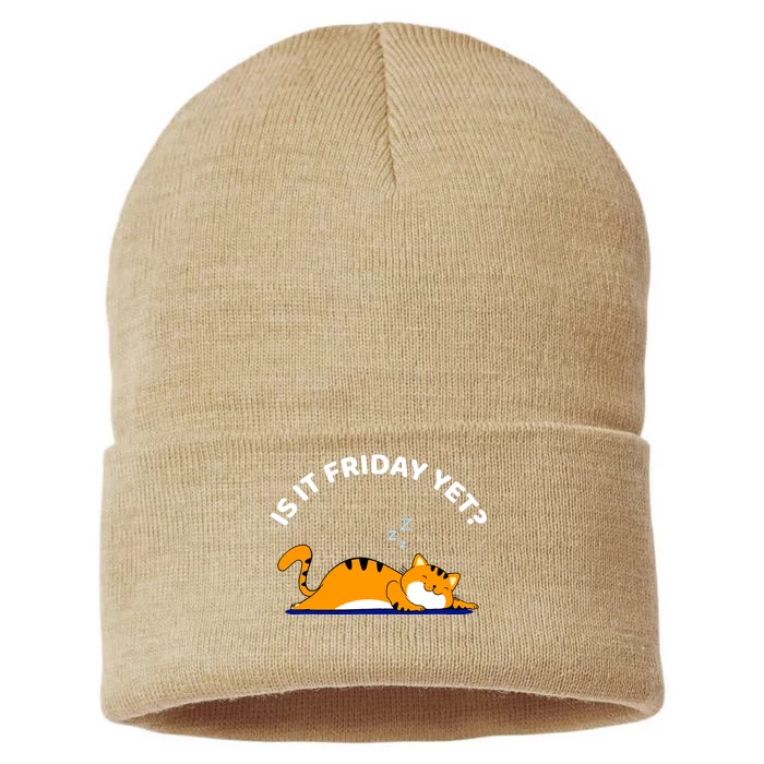 Cat Lover Funny Sleepy Cat Is It Friday Yet Cat Nap Sustainable Knit Beanie