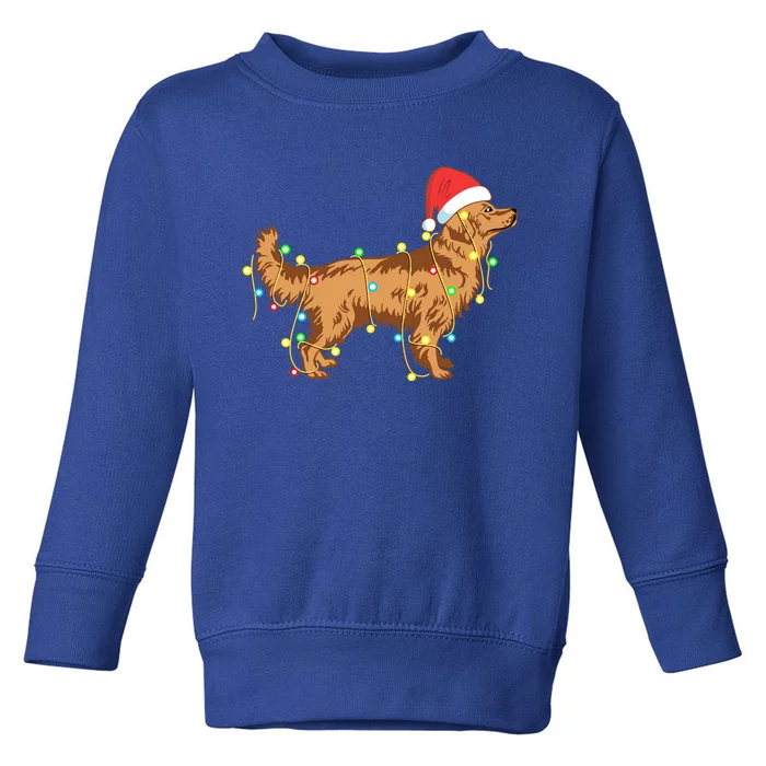 Christmas Lights Golden Retriever Dog Lover Funny Gift Toddler Sweatshirt