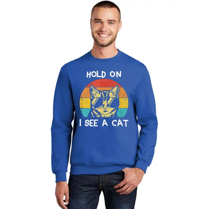 Cat Lover Hold On I See A Cat Cats Loves Cats Tall Sweatshirt