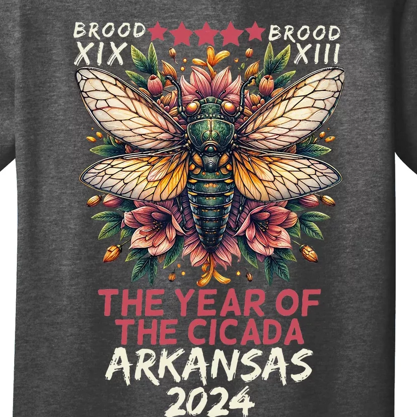 Cicada Lover Insect Bug The Year Of Cicada 2024 Arkansas T-Shirt