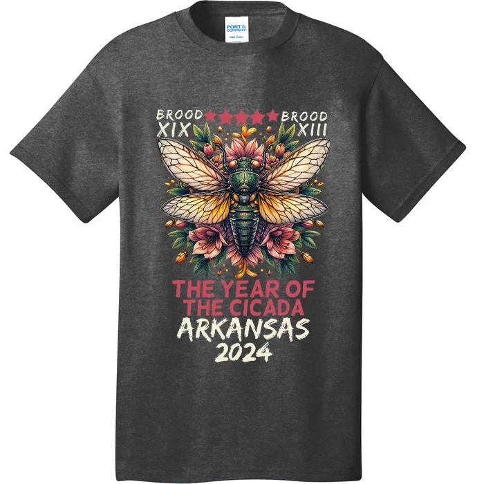 Cicada Lover Insect Bug The Year Of Cicada 2024 Arkansas T-Shirt