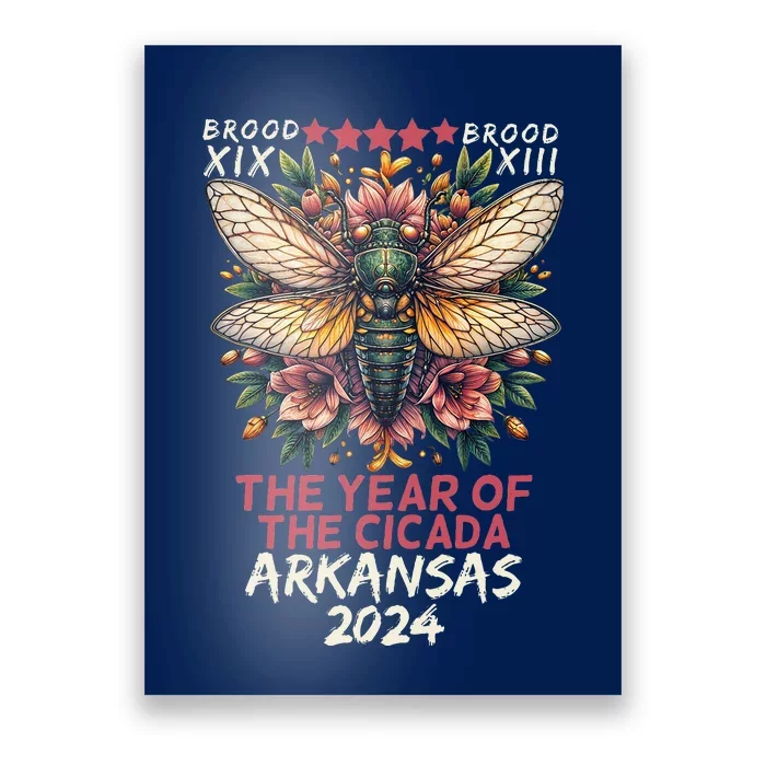 Cicada Lover Insect Bug The Year Of Cicada 2024 Arkansas Poster