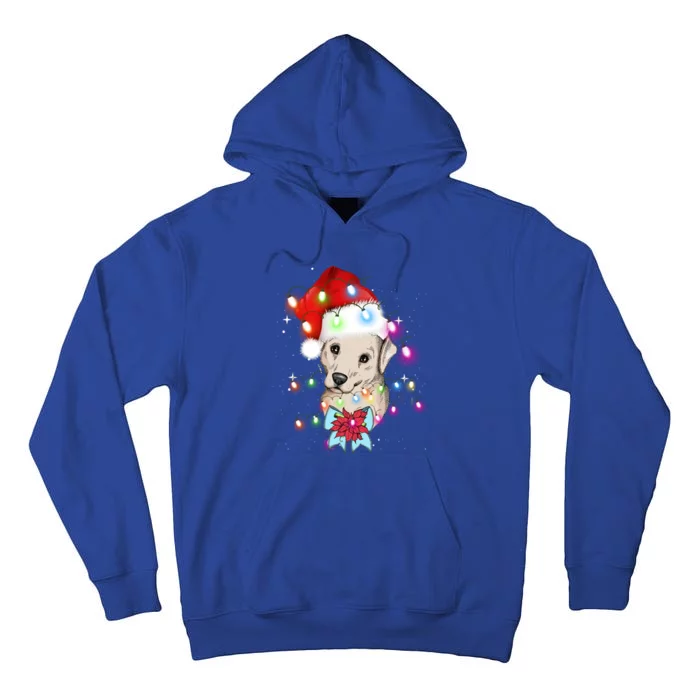 Christmas Lights Labrador Retriever Funny Xmas Cute Gift Tall Hoodie