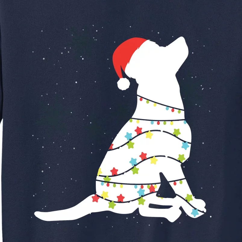 Christmas Lights Labrador Retriever T Dog Lover Gift Tall Sweatshirt