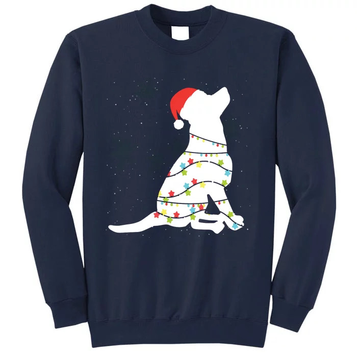 Christmas Lights Labrador Retriever T Dog Lover Gift Tall Sweatshirt