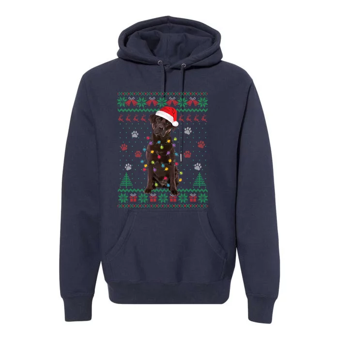 Chocolate Lab Labrador Christmas Lights Dog Ugly Sweater Premium Hoodie