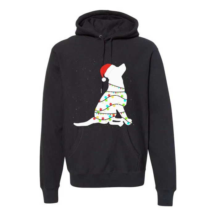 Christmas Lights Labrador Retriever Dog Lover Gift Premium Hoodie