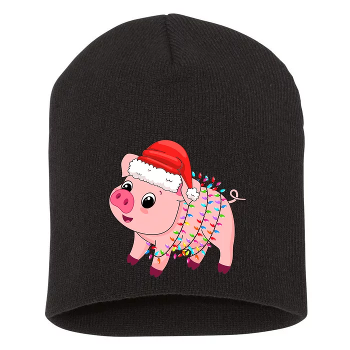 Christmas Lights Pig Wearing Xmas Hat - Pig Lover Farmer Short Acrylic Beanie