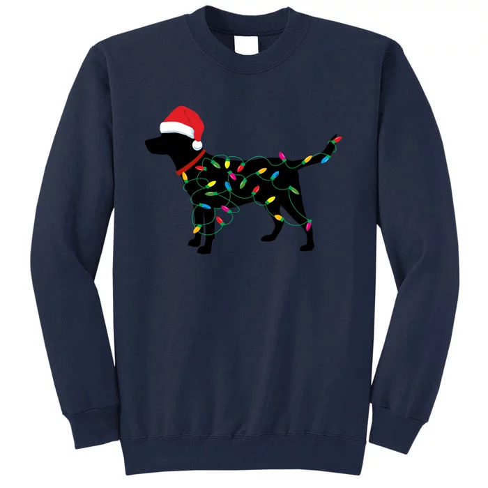 Christmas Labrador Retriever In Santa Hat Christmas Lights Holiday Dog Gift Sant Tall Sweatshirt