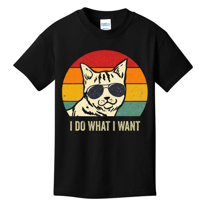 Cat Lovers Retro Vintage I Do What I Want Funny Cat Kids T-Shirt