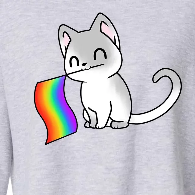 Cat Lgbt Rainbow Flag Pride Month Cropped Pullover Crew