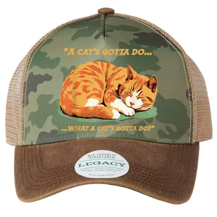 Cat Lover Sleeping Cat A Cats Gotta Do Funny Cat Saying Legacy Tie Dye Trucker Hat